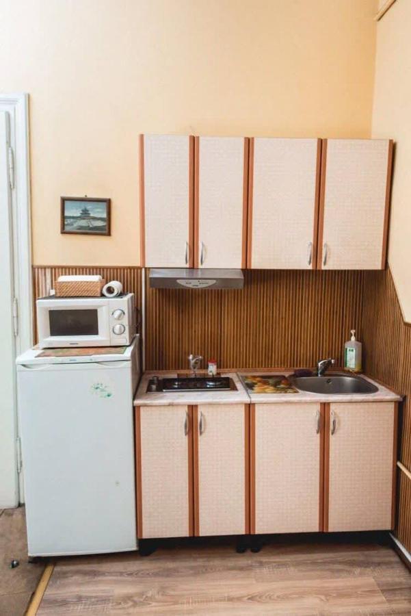 Apartment Veronica In Center Lviv Kültér fotó
